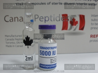 Canada Peptides Chorionic Gonadotropin (Гонадотропин)